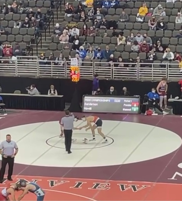 wrestlers